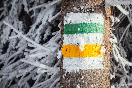 Red tourist sign on a tree in the snowの写真素材