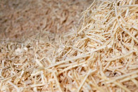 Sawdust or wood dust texture background, Sawdust close upの写真素材
