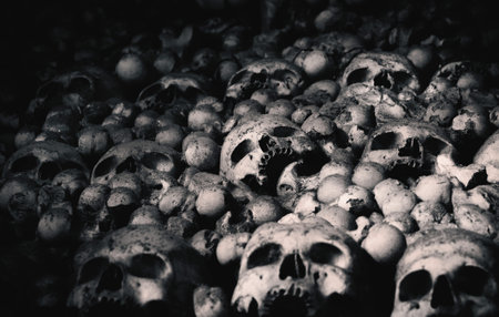 Human skulls and bones. Gloomy photo. Death