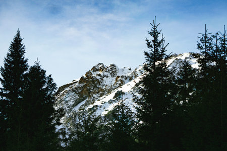 Beautiful snow-capped mountain peaks in the background of treesの写真素材
