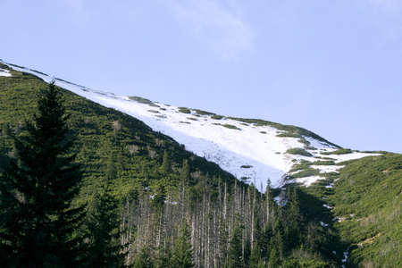 Green and snowy mountains in the Polish Tatrasの写真素材