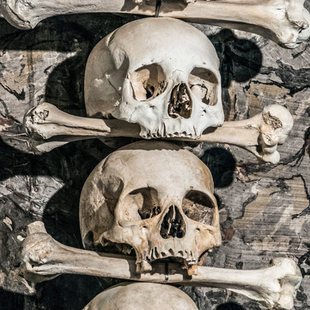 Human skulls with bones in the catacombs