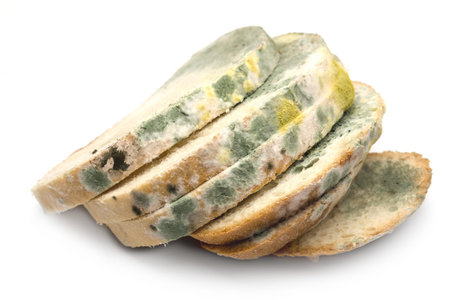 Mold on bread isolated on white background