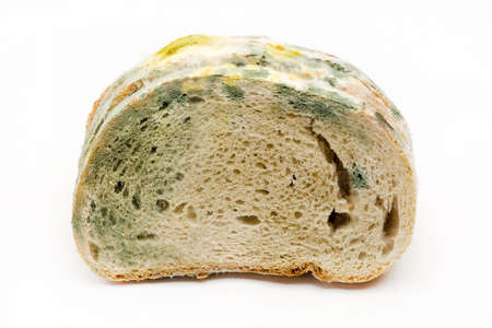 Mold on bread isolated on white backgroundの写真素材