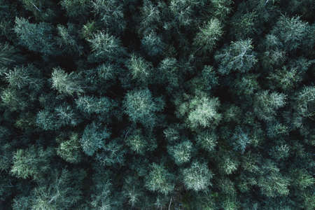 Excavator plans land at construction site, excavator digs trenchesの写真素材