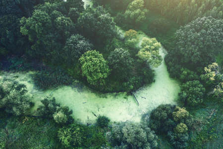 Green river in the forest. Aerial photographyの写真素材