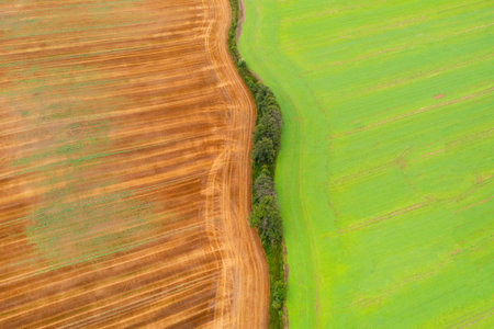 aerial view of meadows and fields, green field