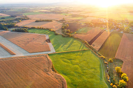 Juicy bright fields with a top view, summer landscape, yellow-green fields illuminated by bright rays of the sunの写真素材