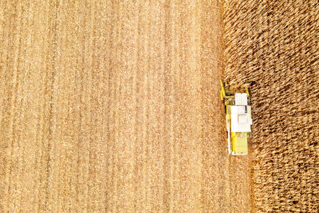 A modern combine harvester works in a corn field. View from the drone. Copy spaceの写真素材