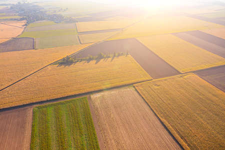 Aerial view of agricultural fields against blue skyの写真素材