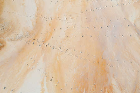 Beautiful orange texture on the ground, a view from a great height, an old flooded quarry. Rusty footprints in the sand. For backgroundの写真素材