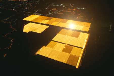 Bright greenhouses at night with a bird's eye viewの写真素材