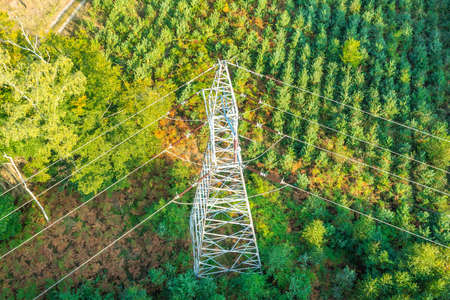 high-voltage electric tower among trees, power transmission towersの写真素材