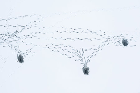 Fishing in winter, view from a height on a hole in the ice