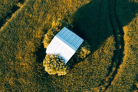 Top view of an abandoned house in the middle of a field