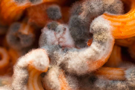 Pasta with mold, spoiled pasta close-up, green moldの写真素材