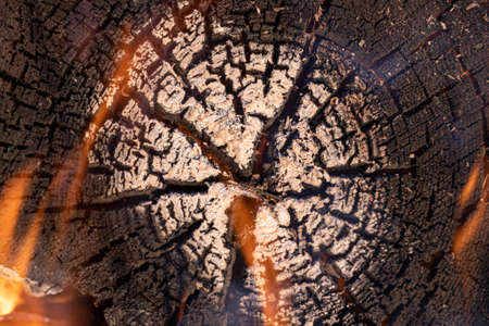 Burning firewood, burnt stump on fire, beautiful burnt wood pattern, wood texture, ringsの写真素材