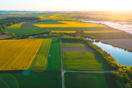 View from a height of green fields and trees, summer natureの写真素材