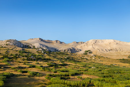 Colorful green landscape with rocks and hills in the background with sunset light. Alpine landscape...