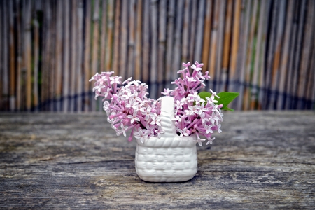 Lilac, spring flowers on old wood.の写真素材