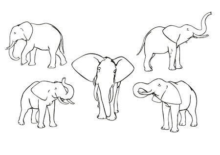 Set of elephants, black and white, outlineのイラスト素材
