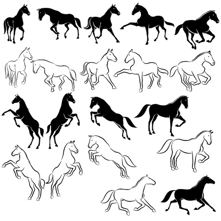 Set of horses in different poses, black and white onlyのイラスト素材