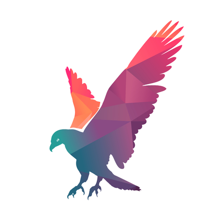 Illustration of colorful bald eagle, vector illustrationのイラスト素材