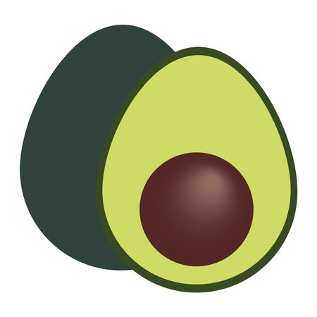 Cartoon cute bright colors fruits. Avocado isolated on white background, flat design, vector, illustration, EPS10のイラスト素材