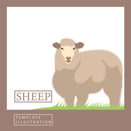Vector illustration of a realistic colorful herd sheep in a flat style. Modern trendy minimalist design template on fauna theme with text.のイラスト素材
