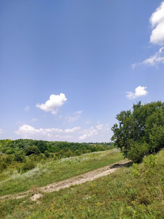rural landscape on a sunny day with blue sky and white clouds