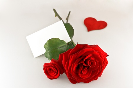 two roses with one heartの写真素材