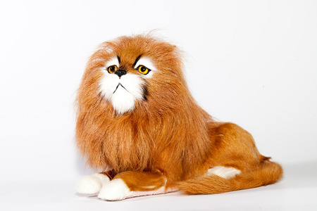 Children's toy lion. Soft toy lion on a background bulomの写真素材