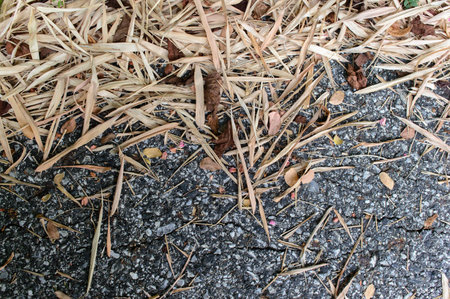 damaged cracked asphalt pattern texture