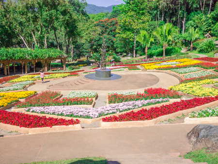 Doi Tung plant gardenのeditorial素材