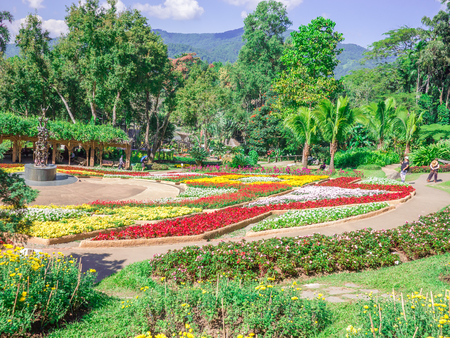 Doi Tung plant gardenのeditorial素材