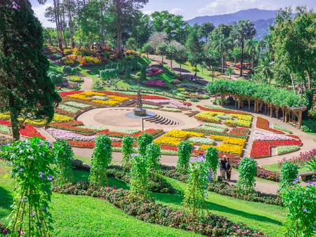 Doi Tung plant gardenのeditorial素材