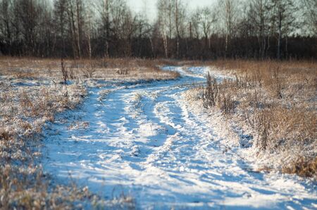 Winter Russia landscape with roads and treesの写真素材