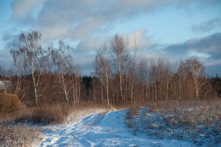 Winter Russia landscape with roads and treesの写真素材