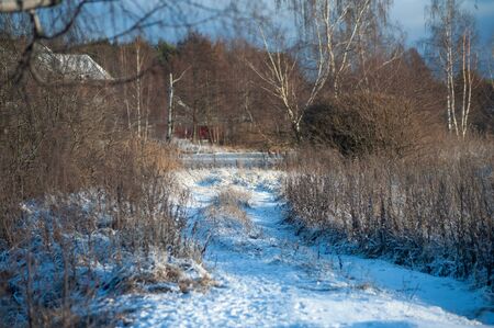 Winter Russia landscape with roads and treesの写真素材