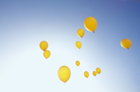 11 yellow balloons flying into sunny blue sky の写真素材