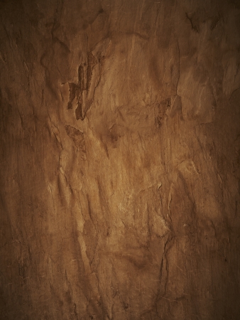 Wood textured dark brownの写真素材