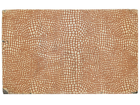 yellowed paper with brown crocodile pattern
