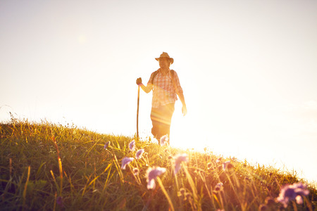 Hiker on summer meadow backlight with hatの写真素材