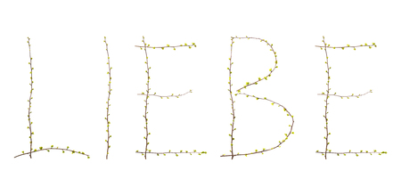 Speech and writing love branches with plateletsの写真素材