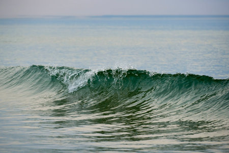 Wave just breaking and having a wave crest with splashes