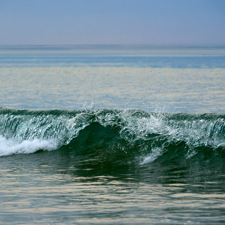 Wave that is just breaking foam foams and has a wave crest