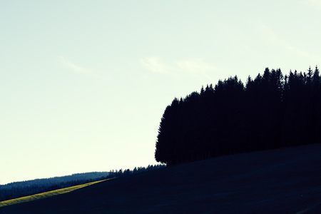 Edge of a forest as silhouette with blue sky and small cloudsの写真素材