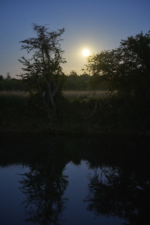 Kanal bei Nacht mit Mondschein Wald und Wiese im Gegenlicht                               の写真素材