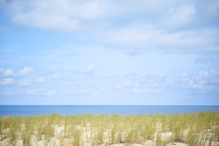 Dune with beach grass and sky with clouds in summerの写真素材