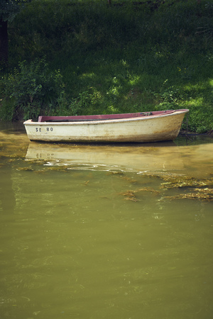 Rowing boat red lies on the bank of a canal with forest in summerの写真素材